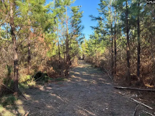 BFF II 6 Brunson Teal Road #BFF II 6, Patrick, SC 29854