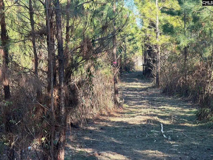 BFF II 6 Brunson Teal Road #BFF II 6, Patrick, SC 29854 - #2