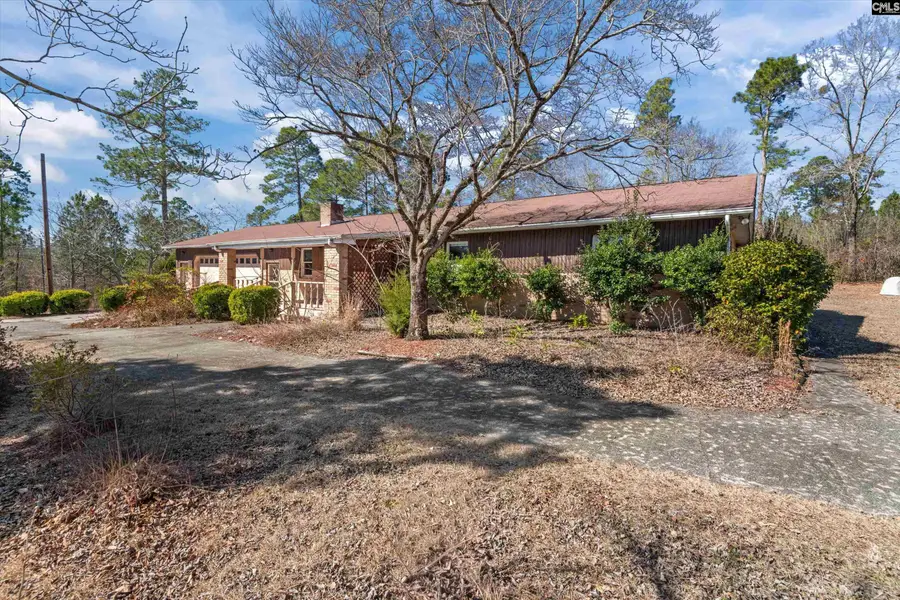 336 Muddy Springs Road, Lexington, SC 29073 - #3