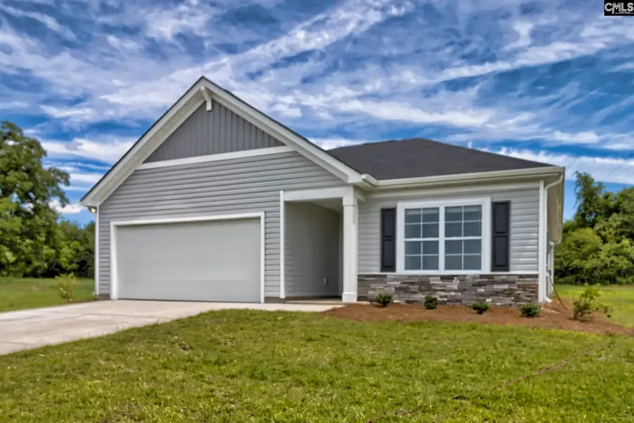 189 Calm Citadel Drive, Pelion, SC 29123 - #2