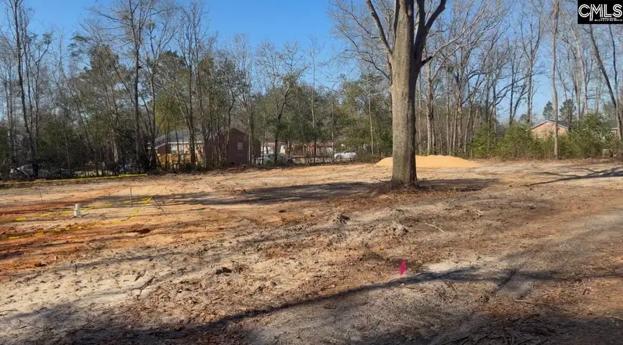 750 Maple Street, Pelion, SC 29123 - #2