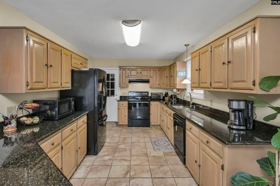 120 Spring Blossom Lane, Chapin, SC 29036 - #3