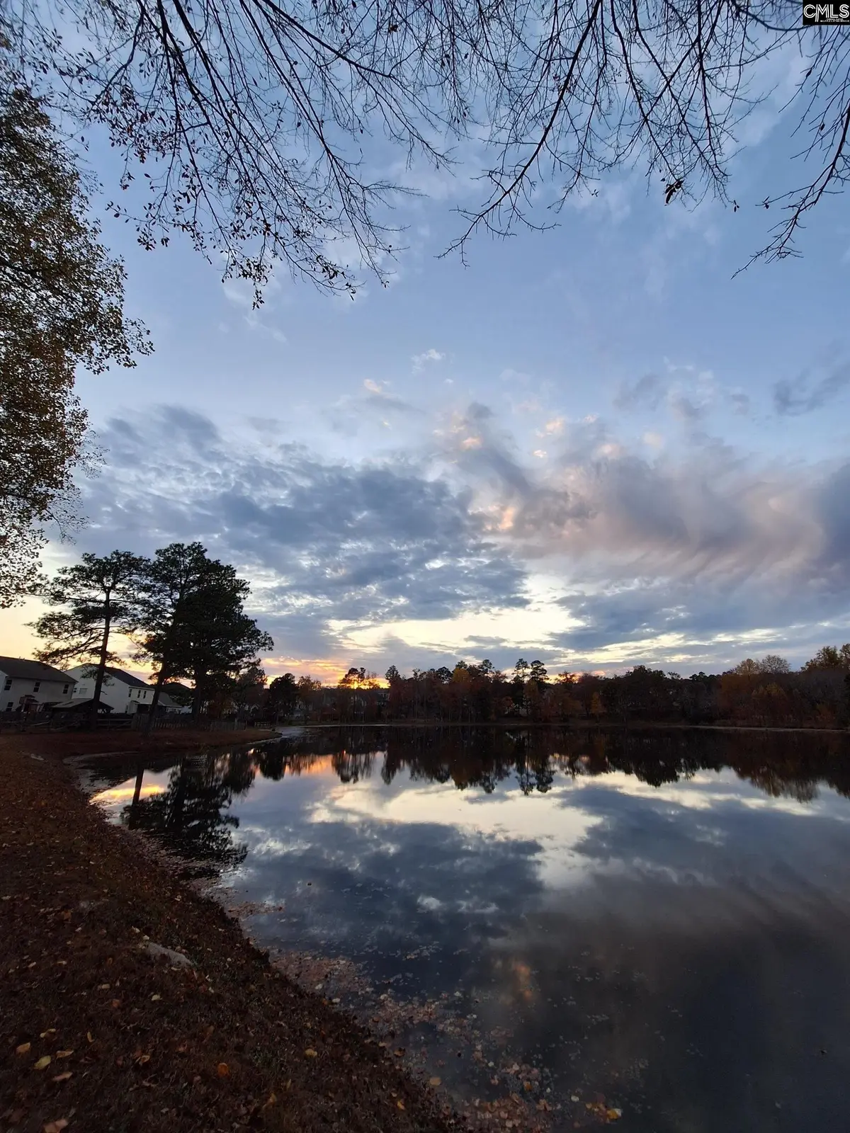 405 Magnolia Tree Road, Lexington, SC 29073 - #1