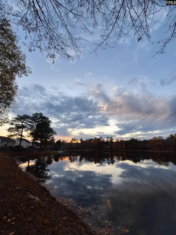 405 Magnolia Tree Road, Lexington, SC 29073