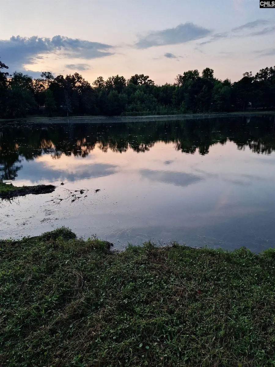 405 Magnolia Tree Road, Lexington, SC 29073 - #3