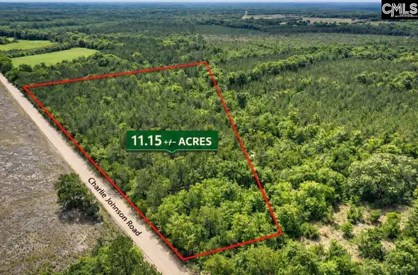 Lot 4 Charlie Johnson Road, Bethune, SC 29009