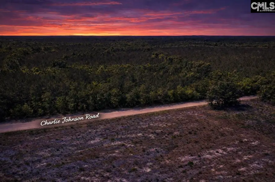 Lot 4 Charlie Johnson Road, Bethune, SC 29009 - #2