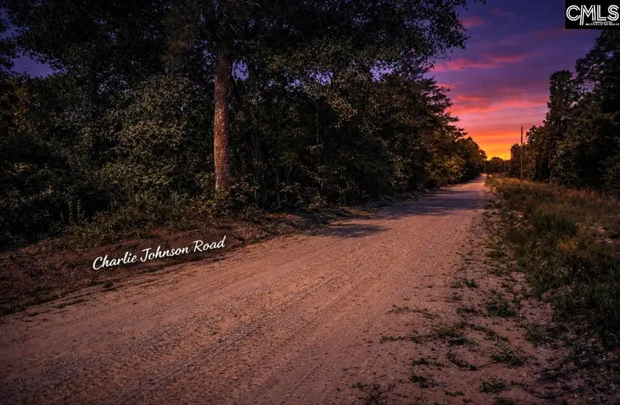 Lot 4 Charlie Johnson Road, Bethune, SC 29009 - #3
