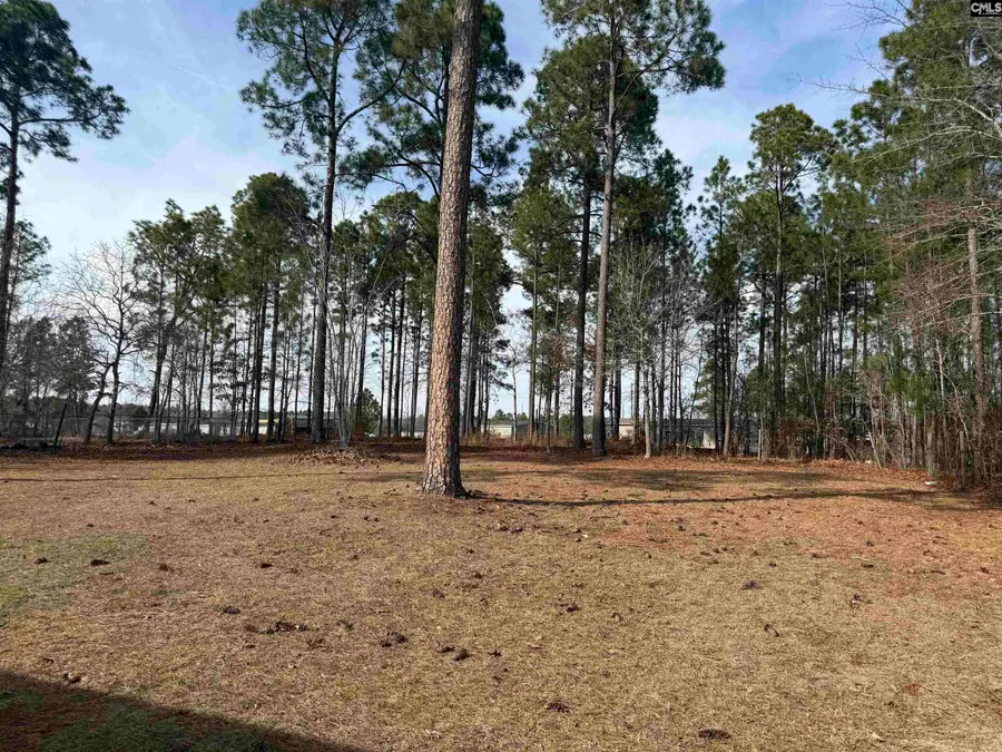 237 Shadow Dale Drive, Gaston, SC 29053 - #3