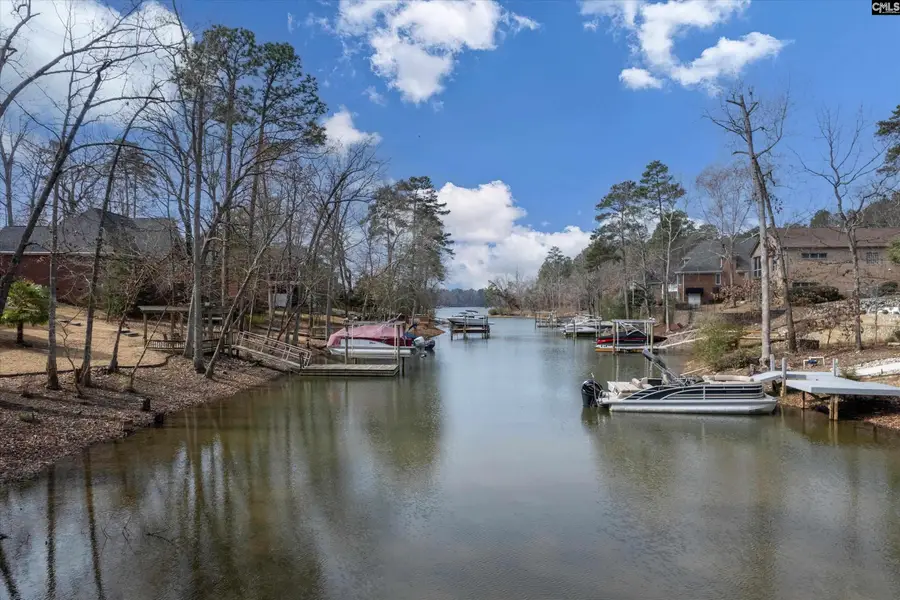 416 Lookover Pointe Drive, Chapin, SC 29036 - #3