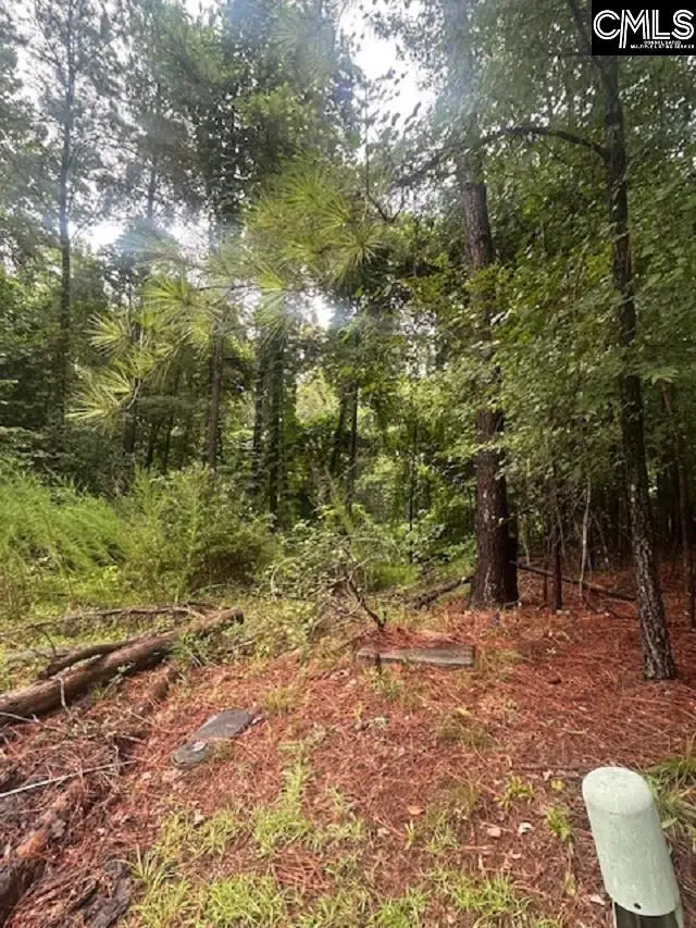 308 Bryars Court, Lexington, SC 29072 - #1