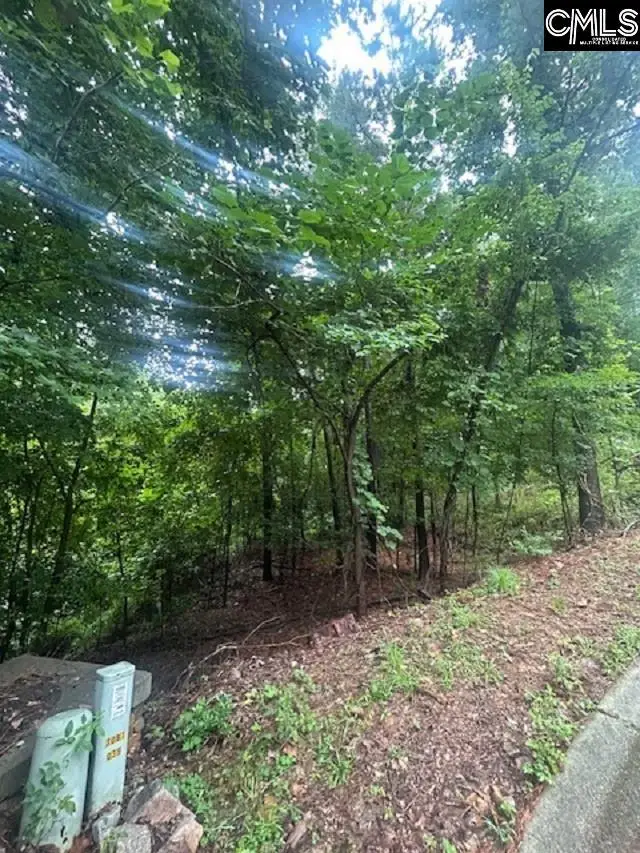 308 Bryars Court, Lexington, SC 29072 - #2