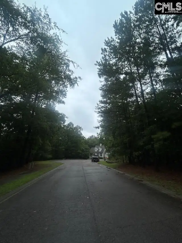 308 Bryars Court, Lexington, SC 29072 - #3