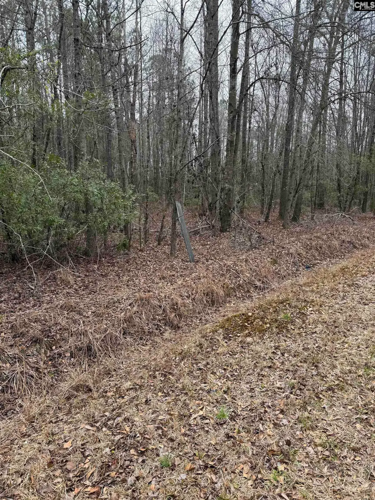 1644 Pincushion Road, Columbia, SC 29209 - #1