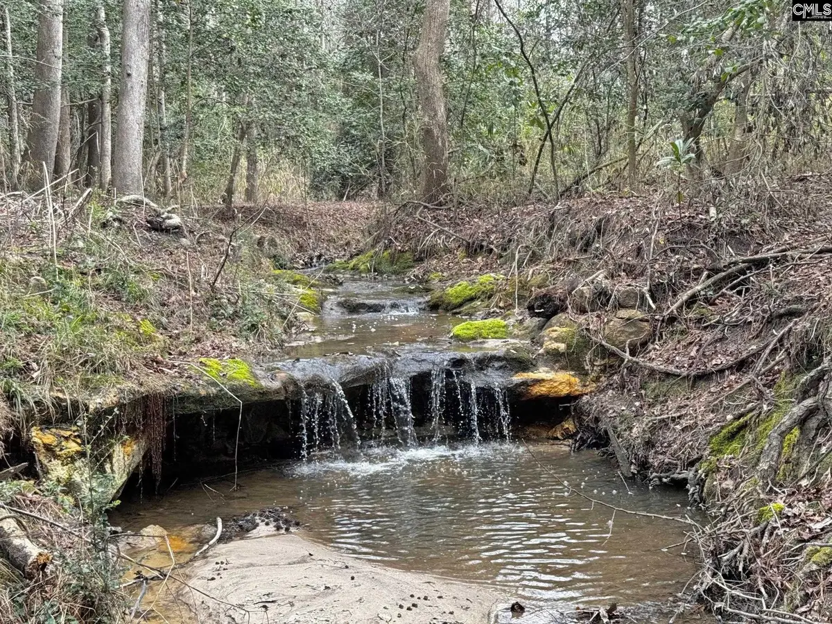 0 Tall Timber Drive, Leesville, SC 29070 - #1