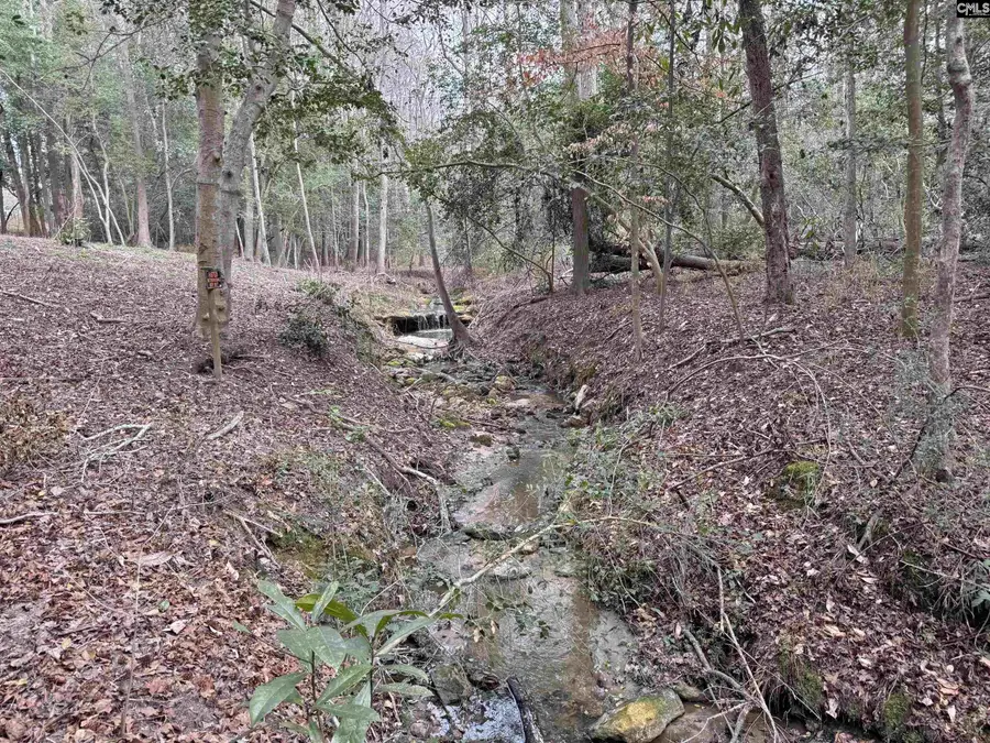 0 Tall Timber Drive, Leesville, SC 29070 - #2