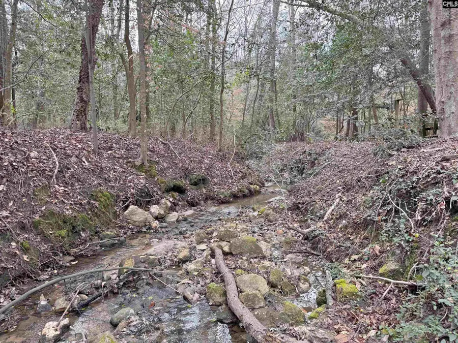 0 Tall Timber Drive, Leesville, SC 29070 - #3