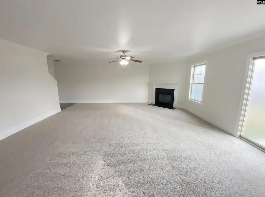 243 Meadow Saffron Drive, Lexington, SC 29073 - #3