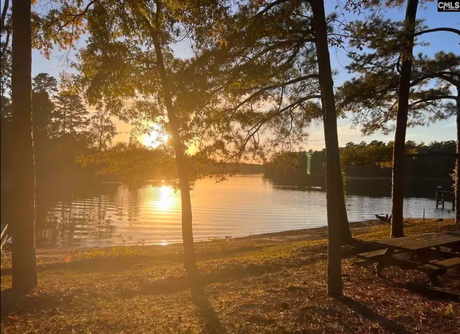 132 Pembroke Lane, Chapin, SC 29036 - #2