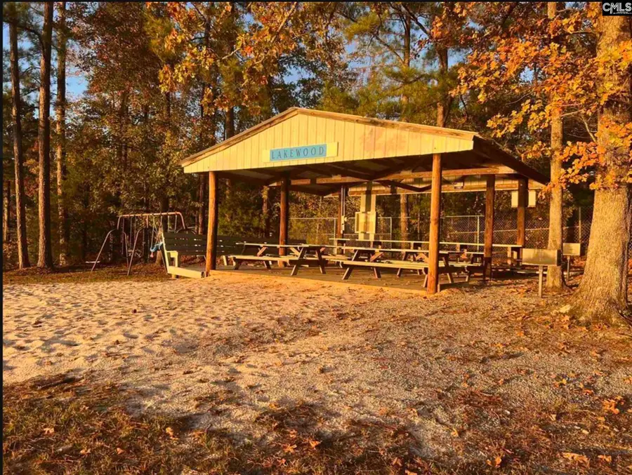 132 Pembroke Lane, Chapin, SC 29036 - #3