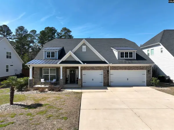 218 Chapin Brooke Court, Chapin, SC 29036