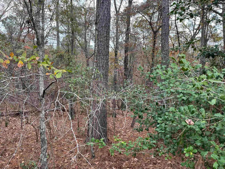 TBD Parkwood Avenue, North, SC 29112 - #3