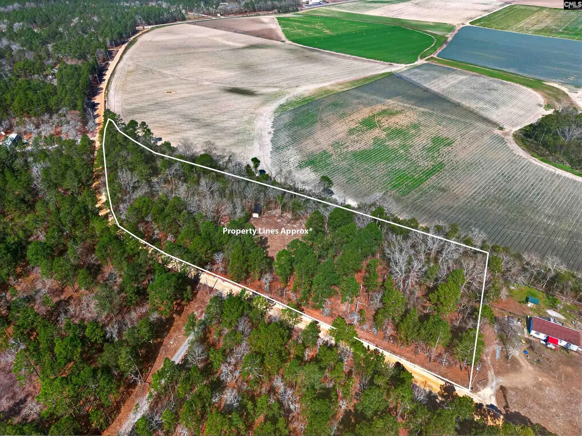 0 Rimrock Road, Leesville, SC 29070 - #1