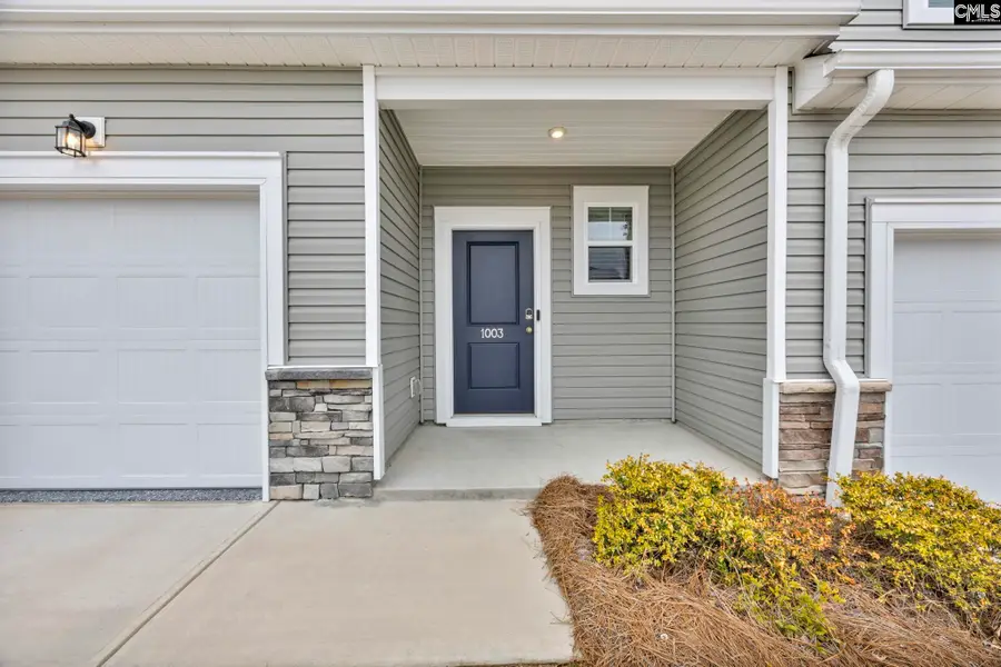 1003 Cornelia Street, Elgin, SC 29045 - #3