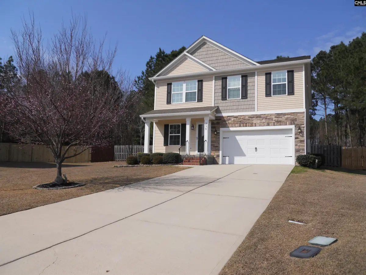 238 Bronze Bluff Court, Lexington, SC 29073 - #1