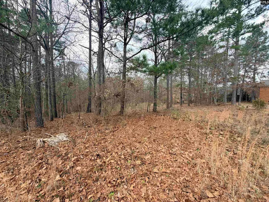 92 Cannonade Court, Irmo, SC 29063 - #2