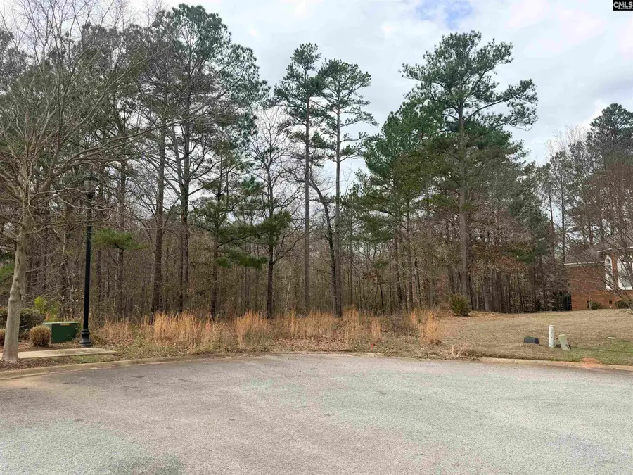 92 Cannonade Court, Irmo, SC 29063 - #3