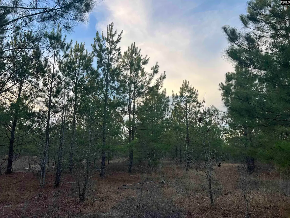 Kelly Day Road, Gilbert, SC 29054 - #1