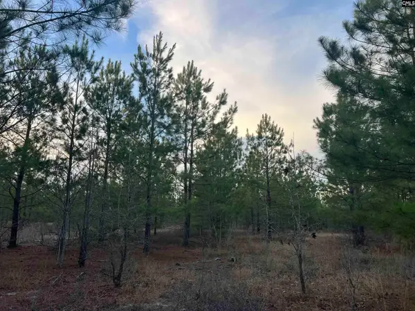 Kelly Day Road, Gilbert, SC 29054