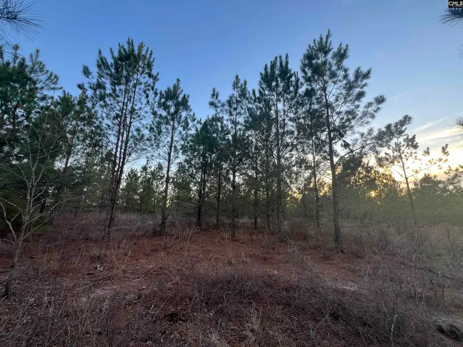 Kelly Day Road, Gilbert, SC 29054 - #2