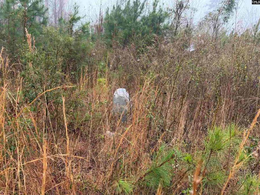 2566 William Brunson Crossroads, Summerton, SC 29148 - #2