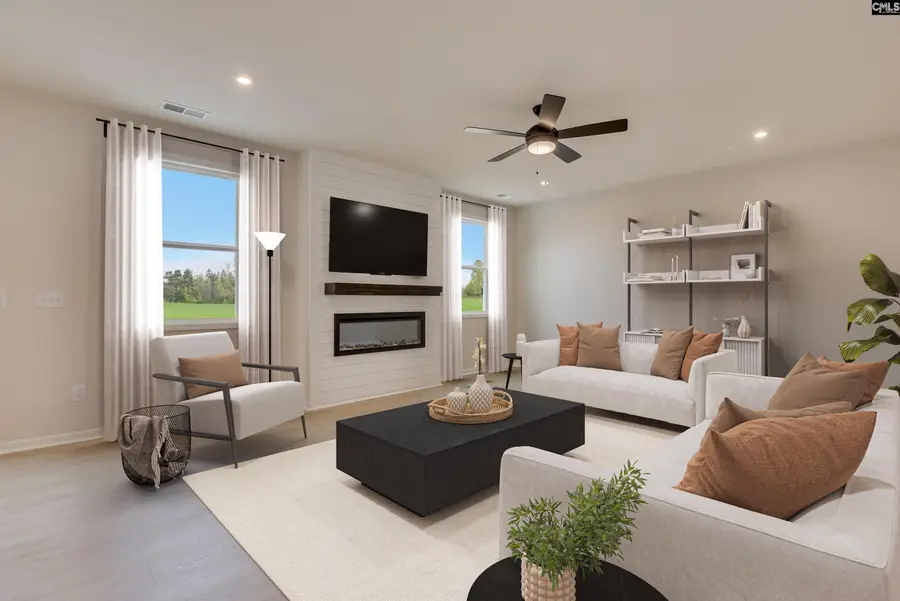 377 Chapin Place Way, Chapin, SC 29036 - #2