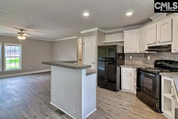 228 Water Tank Road, Pelion, SC 29123 - #3