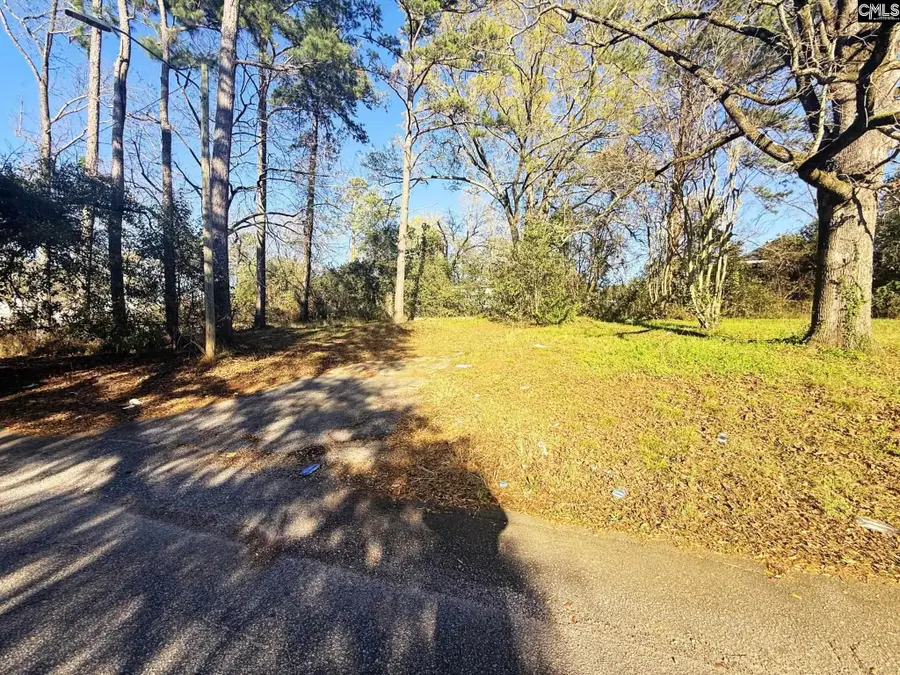113 Duke Avenue, Columbia, SC 29203 - #2