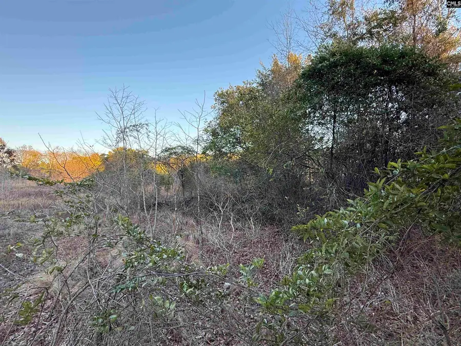 01 Adams Road, Lexington, SC 29073 - #2