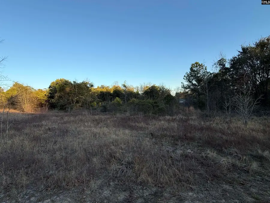 01 Adams Road, Lexington, SC 29073 - #3