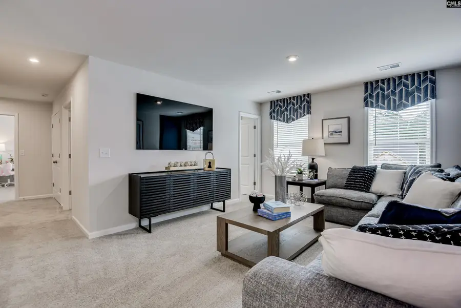 305 Brass Billion Path, Lexington, SC 29073 - #3