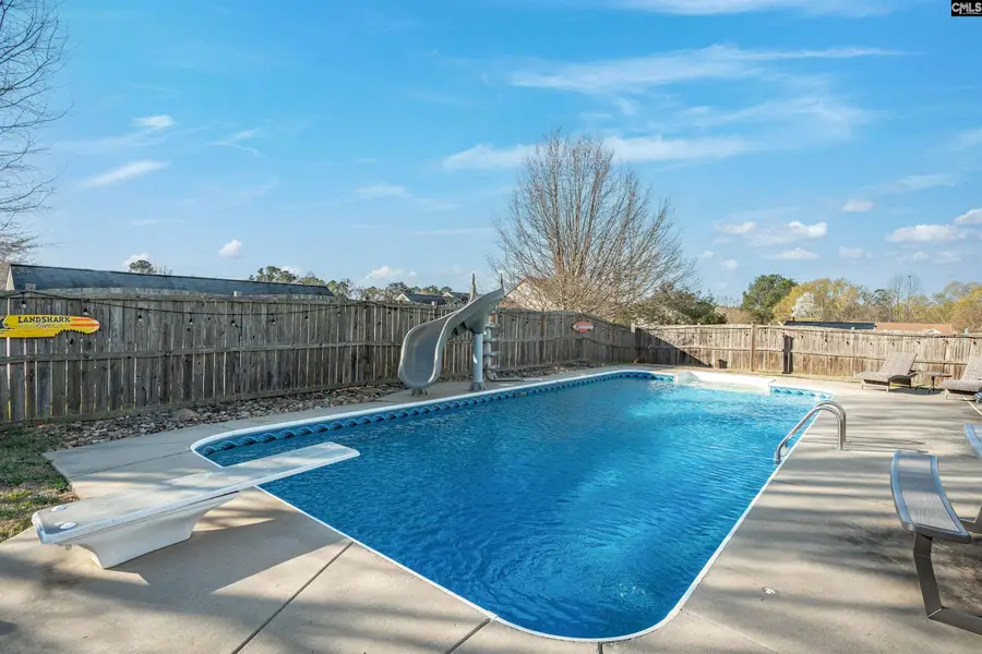 308 Turkey Beard Court, Chapin, SC 29036 - #2