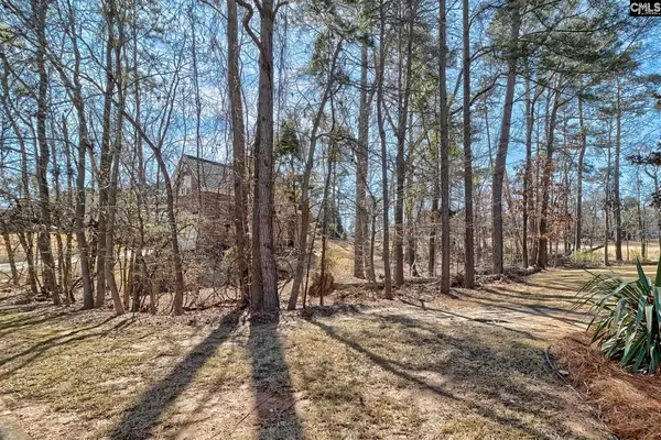 429 Oxenbridge Way, Chapin, SC 29036