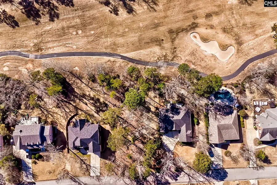 429 Oxenbridge Way, Chapin, SC 29036 - #3