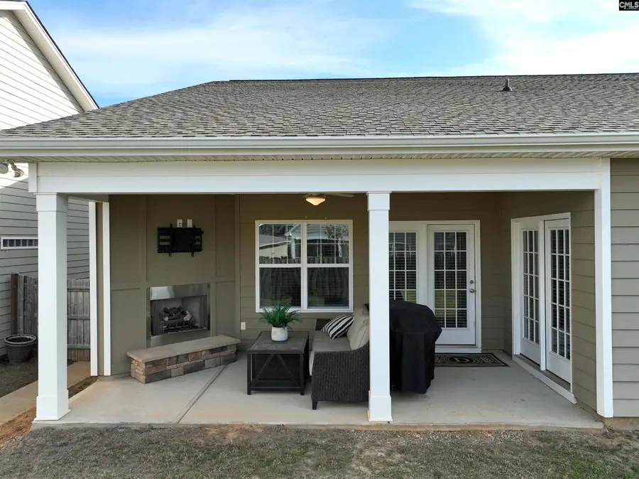 53 Starry Night Court, Chapin, SC 29036 - #2