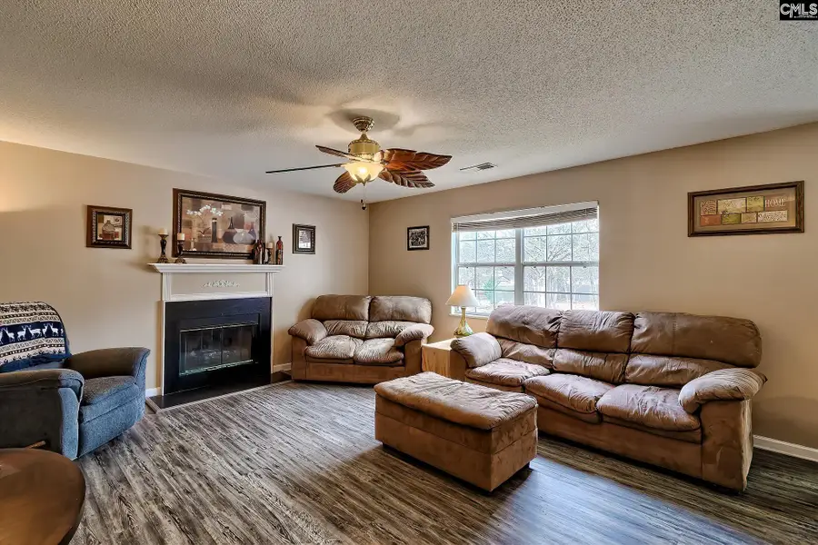 133 Dutch Court, Lexington, SC 29073 - #2