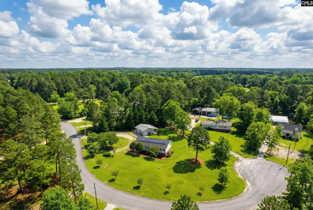 233 Drawdebil Court, Gilbert, SC 29054 - #1