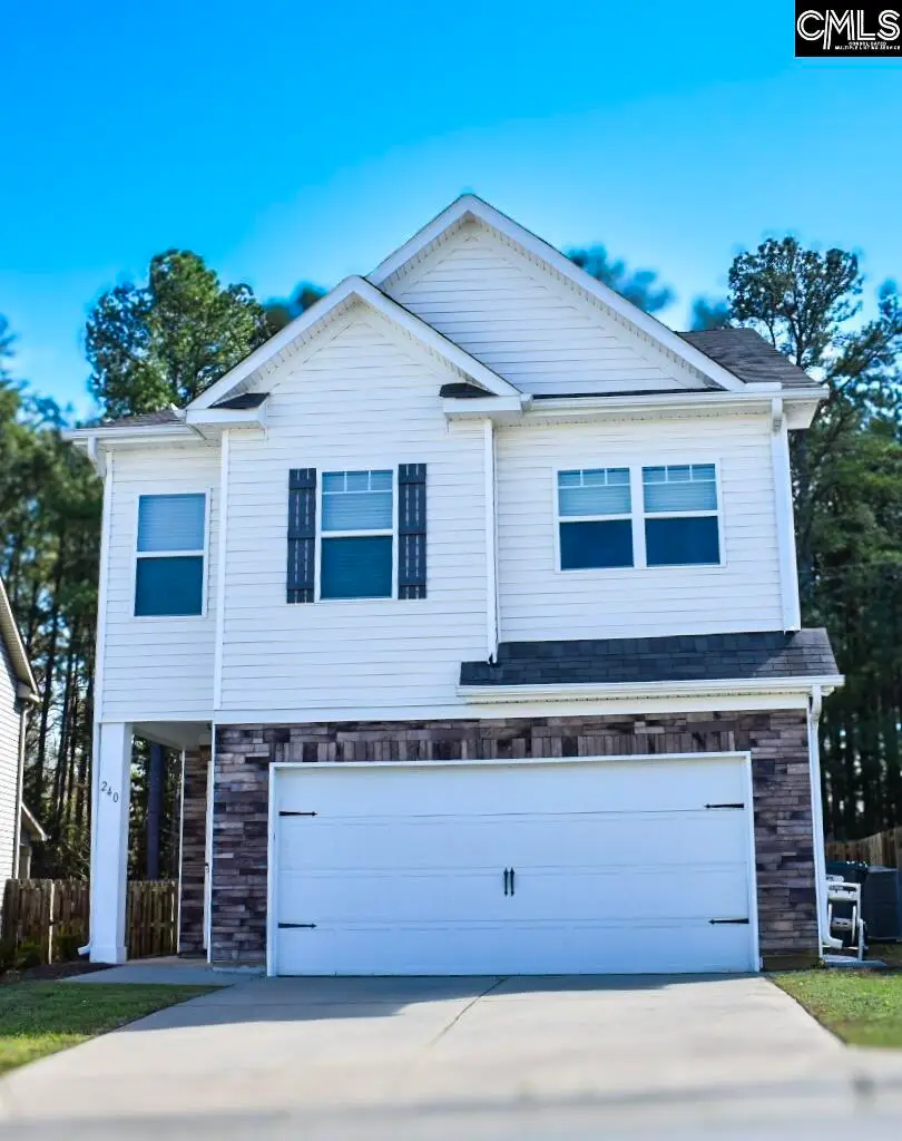 240 Bickley View Court, Chapin, SC 29036 - #1