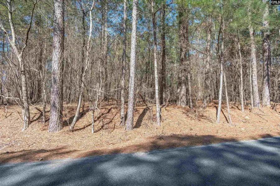 0 Windy Road, Gilbert, SC 29054 - #2