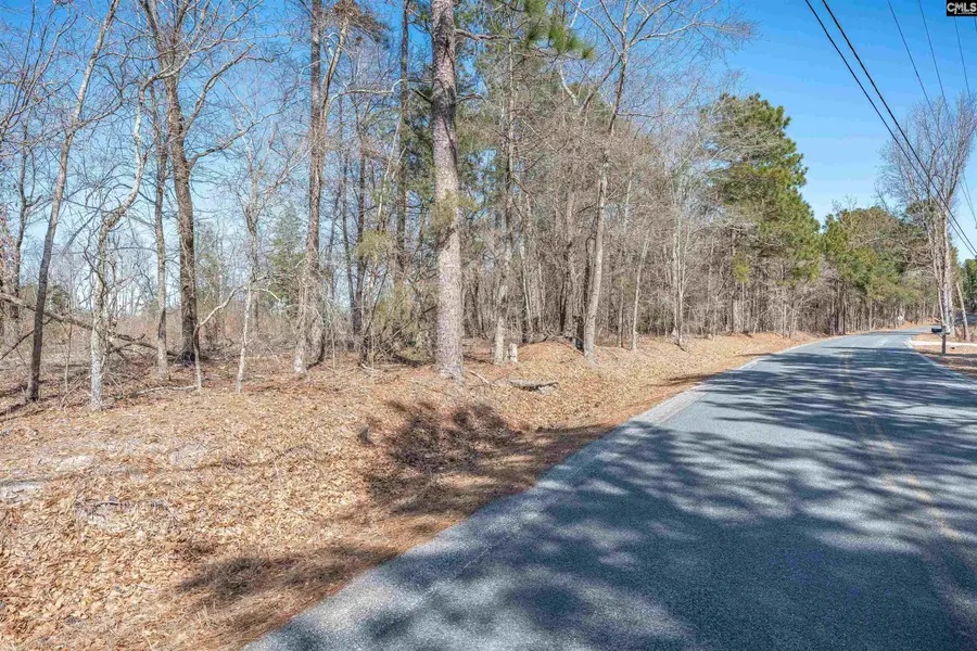 0 Windy Road, Gilbert, SC 29054 - #3
